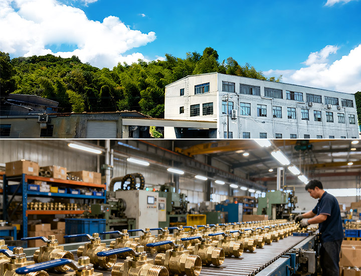 FELO Valve: Precision Engineered for Global Partners