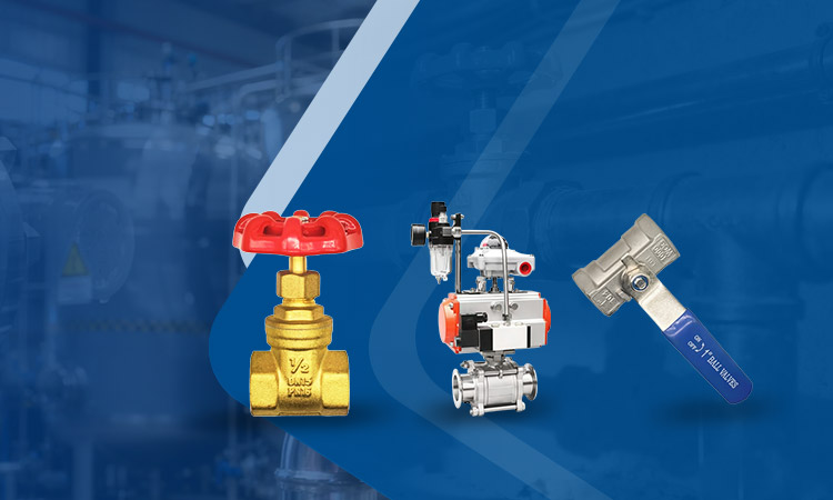 Pneumatic Valve