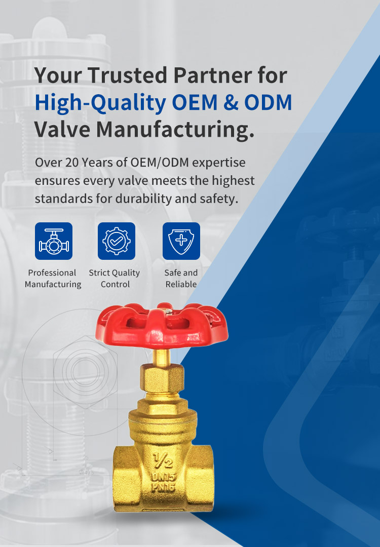 Your Trusted Partner for High-Quality OEM & ODM Valve Manufacturing