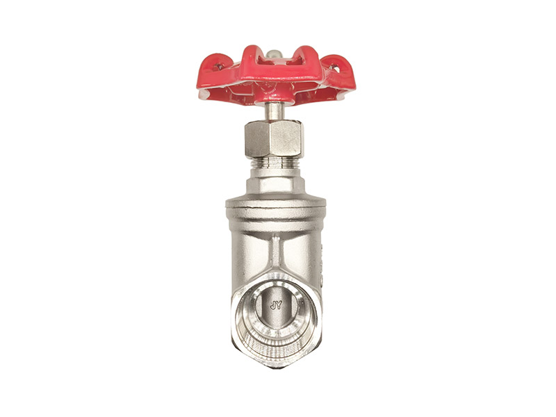 Stainless steel threaded gate valve