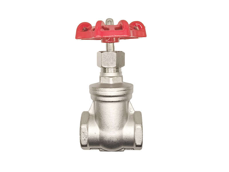 Stainless steel threaded gate valve