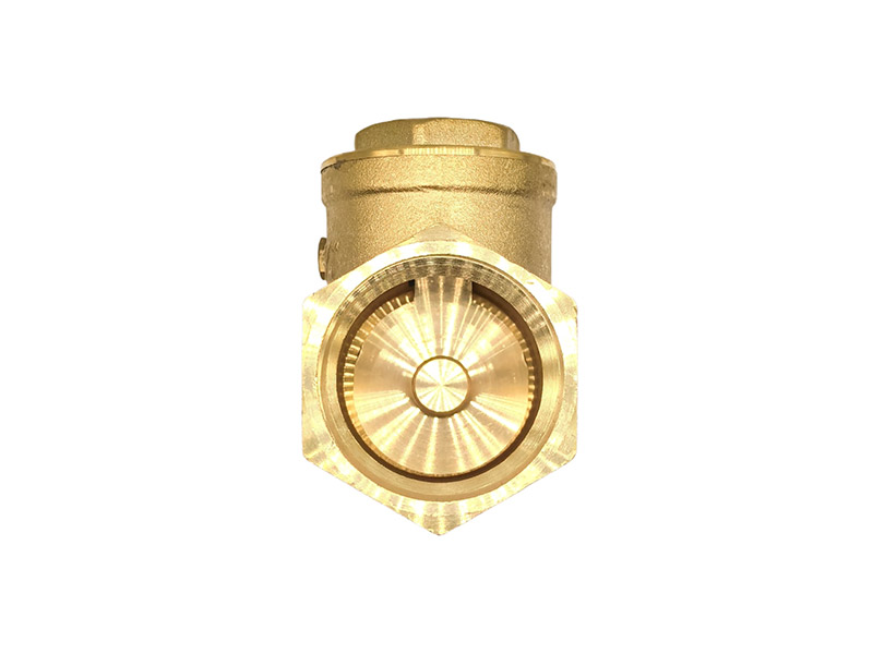 Brass Horizontal Check Valve