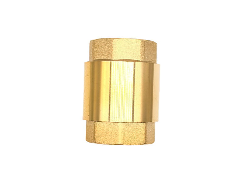 img of Brass Vertical Check Valve