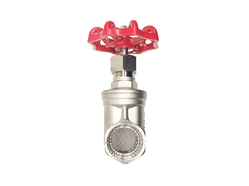 Stainless steel threaded gate valve