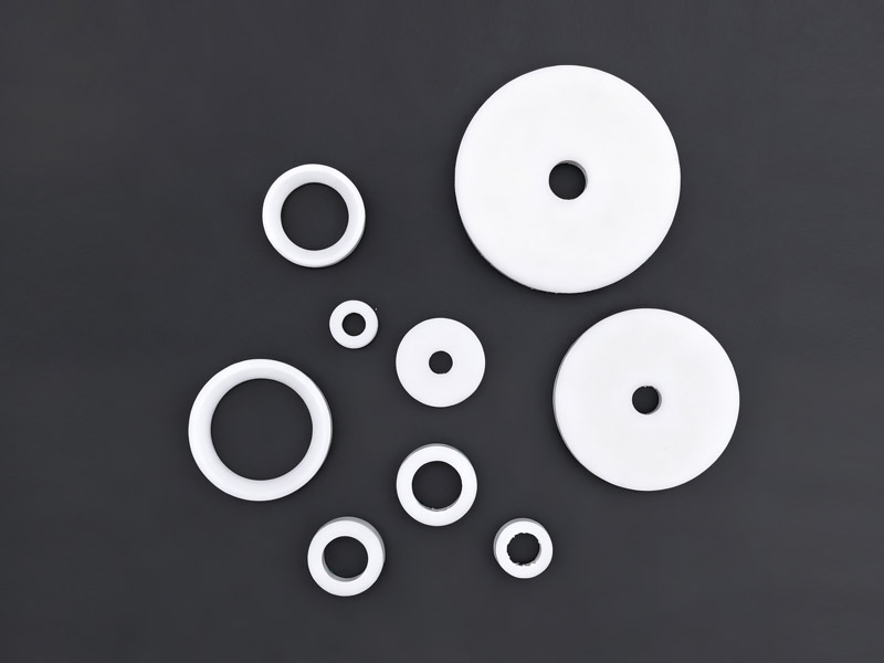 PTFE Sealing Rings